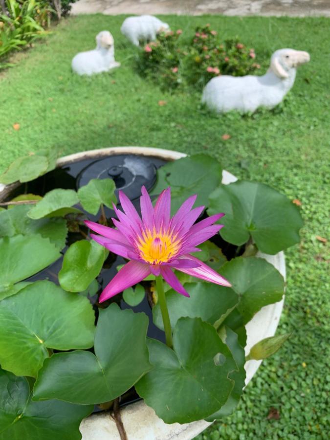 The Orchid House Hotel Nong Kung Yai Exterior photo
